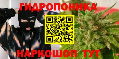 ГАЛЛЮЦИНОГЕННЫЕ ГРИБЫ Обь